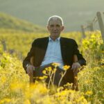 Photo source: Kir-Yianni