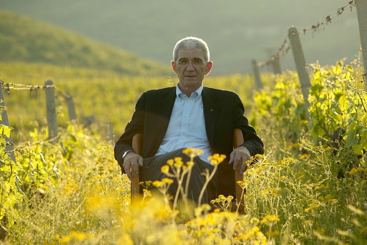 Εξήντα χρόνια τρύγος…